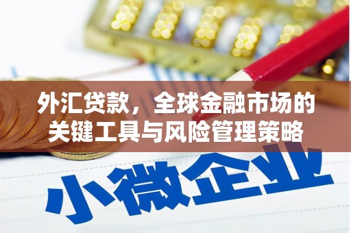 长滨外汇贷款，全球金融市场的关键工具与风险管理策略