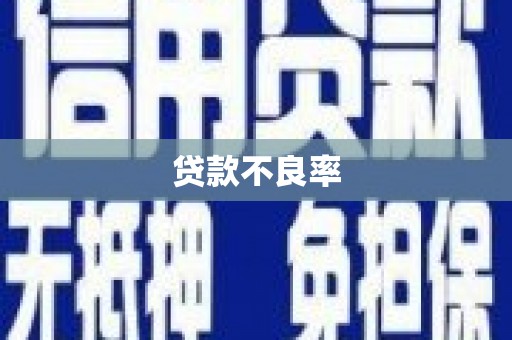 长滨贷款不良率