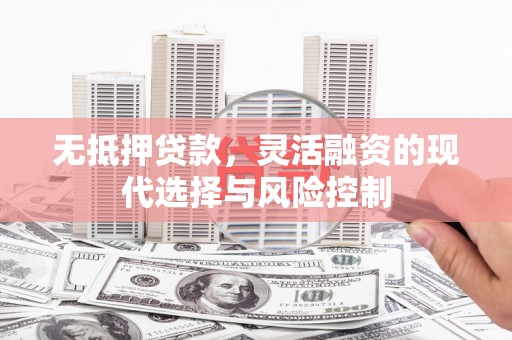 长滨无抵押贷款，灵活融资的现代选择与风险控制