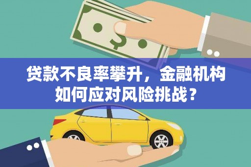长滨贷款不良率攀升，金融机构如何应对风险挑战？