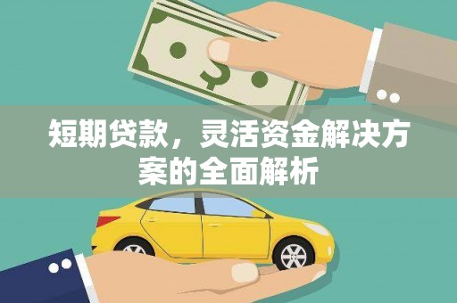 长滨短期贷款，灵活资金解决方案的全面解析