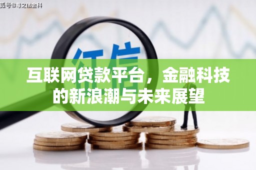 长滨互联网贷款平台，金融科技的新浪潮与未来展望