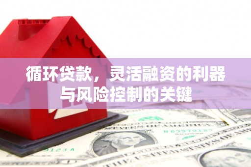 长滨循环贷款，灵活融资的利器与风险控制的关键
