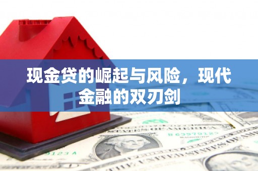 长滨现金贷的崛起与风险，现代金融的双刃剑