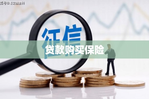 长滨贷款购买保险
