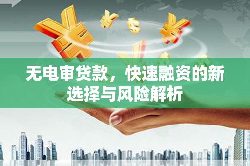 长滨无电审贷款，快速融资的新选择与风险解析