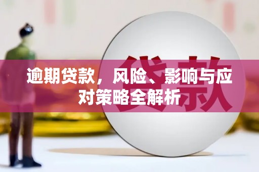 长滨逾期贷款，风险、影响与应对策略全解析