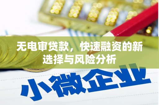 长滨无电审贷款，快速融资的新选择与风险分析