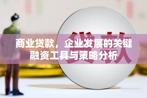 长滨商业贷款，企业发展的关键融资工具与策略分析