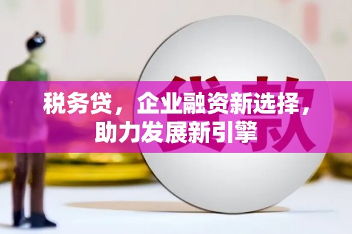 长滨税务贷，企业融资新选择，助力发展新引擎