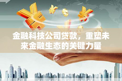 长滨金融科技公司贷款，重塑未来金融生态的关键力量