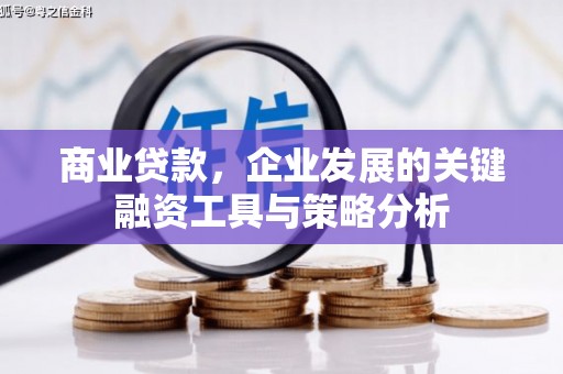 长滨商业贷款，企业发展的关键融资工具与策略分析