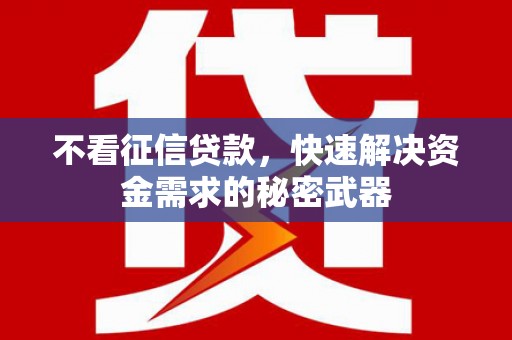 长滨不看征信贷款，快速解决资金需求的秘密武器