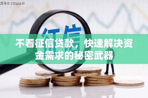 长滨不看征信贷款，快速解决资金需求的秘密武器