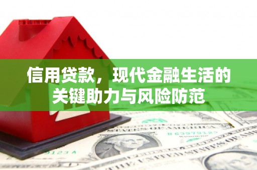 长滨信用贷款，现代金融生活的关键助力与风险防范