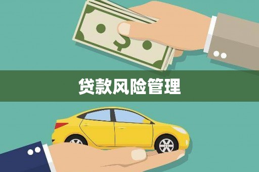 长滨贷款风险管理