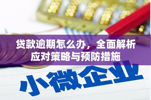长滨贷款逾期怎么办，全面解析应对策略与预防措施