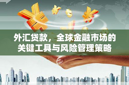 长滨外汇贷款，全球金融市场的关键工具与风险管理策略