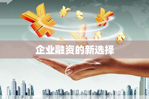 长滨企业融资的新选择