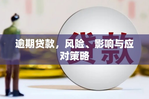 长滨逾期贷款，风险、影响与应对策略