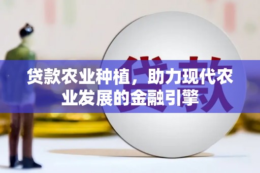 长滨贷款农业种植，助力现代农业发展的金融引擎