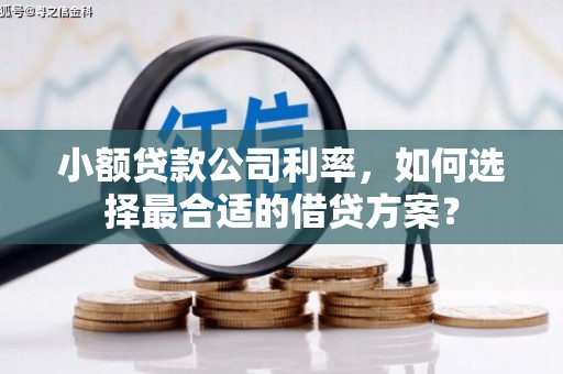 长滨小额贷款公司利率，如何选择最合适的借贷方案？