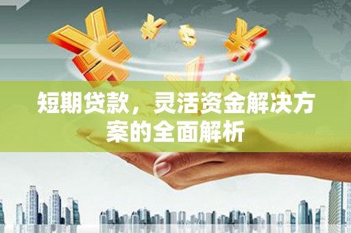长滨短期贷款，灵活资金解决方案的全面解析
