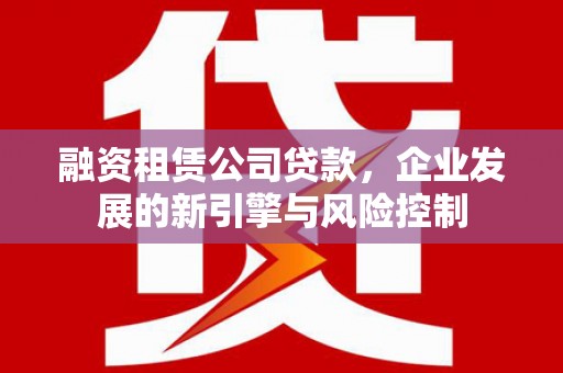 长滨融资租赁公司贷款，企业发展的新引擎与风险控制