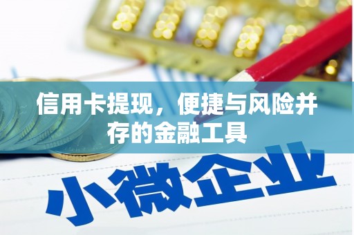 长滨信用卡提现，便捷与风险并存的金融工具