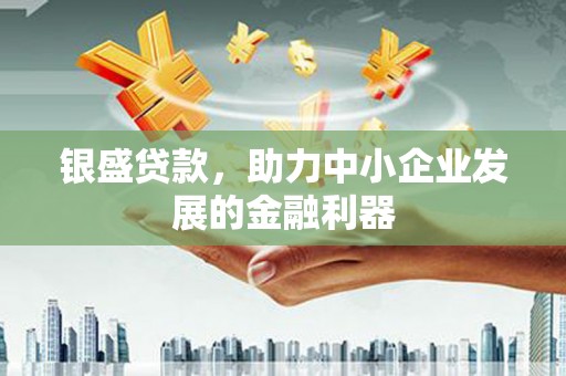 长滨银盛贷款，助力中小企业发展的金融利器