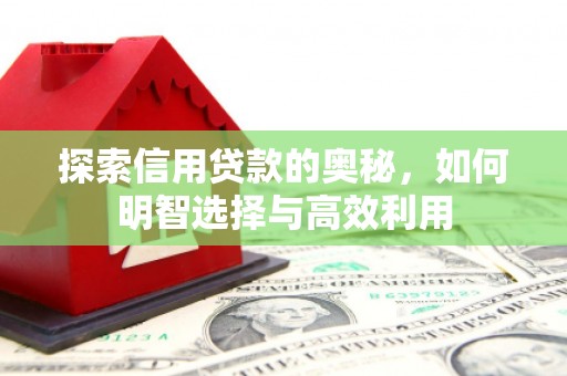 长滨探索信用贷款的奥秘，如何明智选择与高效利用
