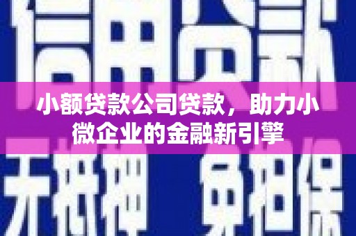 长滨小额贷款公司贷款，助力小微企业的金融新引擎