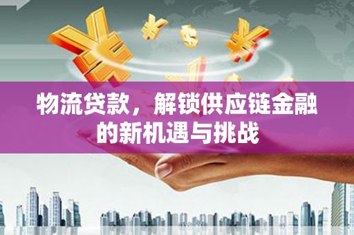 长滨物流贷款，解锁供应链金融的新机遇与挑战