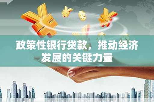 长滨政策性银行贷款，推动经济发展的关键力量
