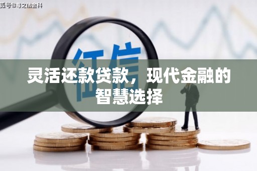 长滨灵活还款贷款，现代金融的智慧选择