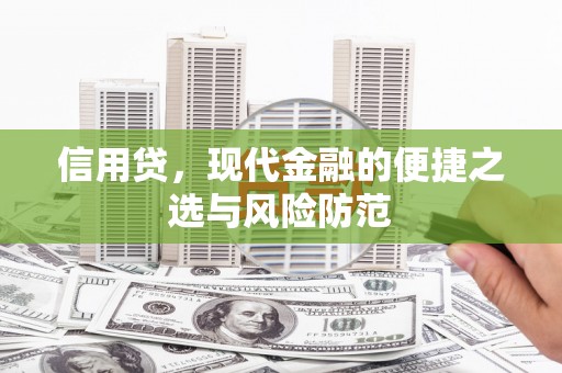 长滨信用贷，现代金融的便捷之选与风险防范