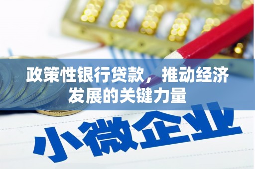 长滨政策性银行贷款，推动经济发展的关键力量