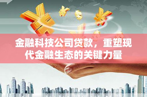 长滨金融科技公司贷款，重塑现代金融生态的关键力量