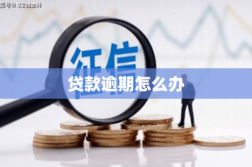 长滨贷款逾期怎么办