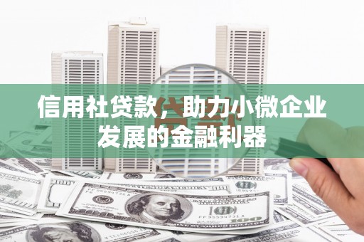 长滨信用社贷款，助力小微企业发展的金融利器