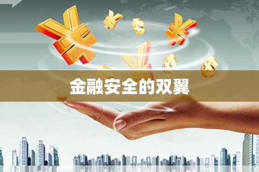 长滨金融安全的双翼