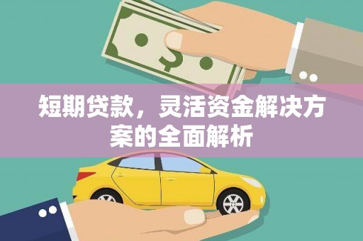 长滨短期贷款，灵活资金解决方案的全面解析