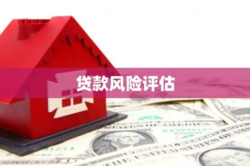 长滨贷款风险评估