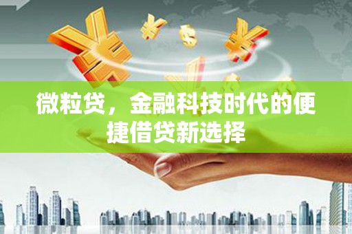 长滨微粒贷，金融科技时代的便捷借贷新选择
