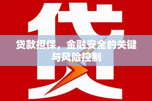 长滨贷款担保，金融安全的关键与风险控制