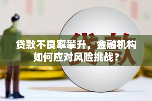 长滨贷款不良率攀升，金融机构如何应对风险挑战？