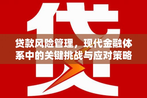 长滨贷款风险管理，现代金融体系中的关键挑战与应对策略