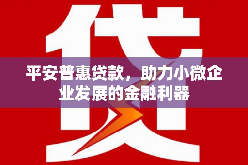 长滨平安普惠贷款，助力小微企业发展的金融利器