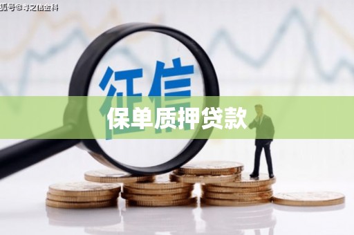 长滨保单质押贷款
