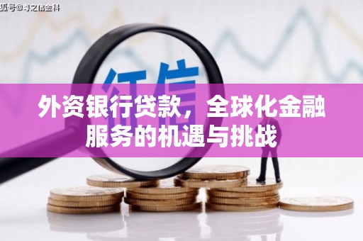 长滨外资银行贷款，全球化金融服务的机遇与挑战